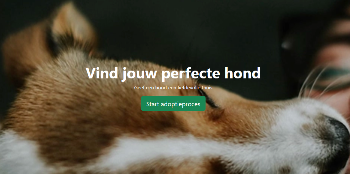 Foto van een bootstrap website